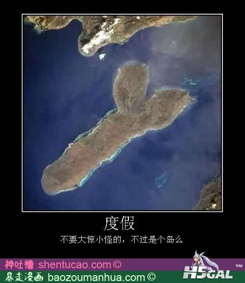 005.jpg