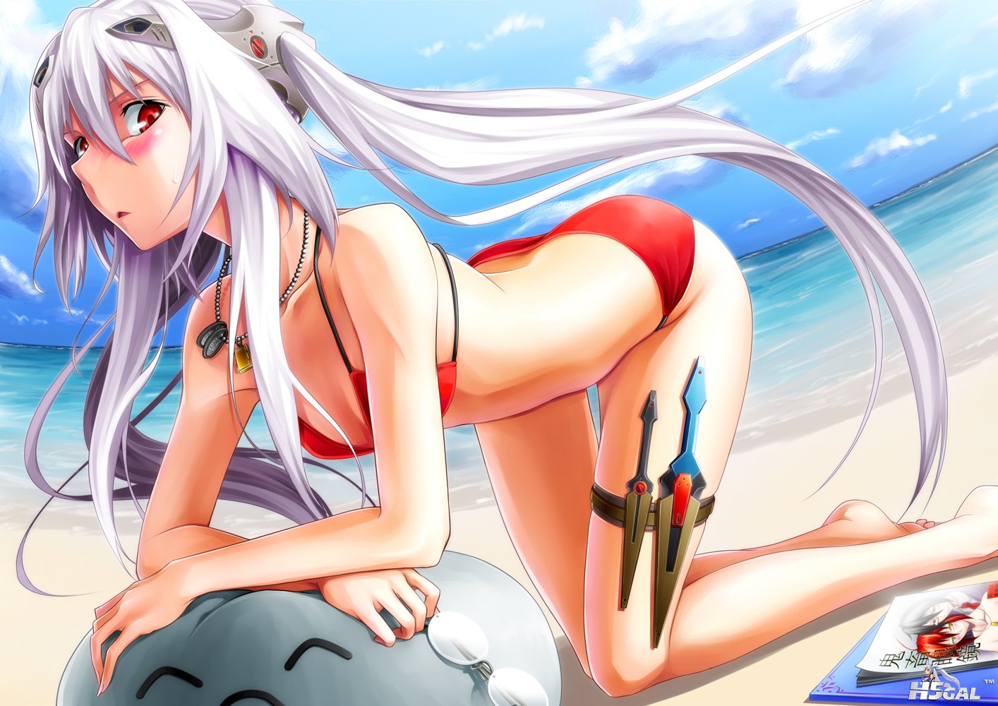 1685 barefoot beach bikini blush book cleavage glasses knife long_hair necklace .jpg
