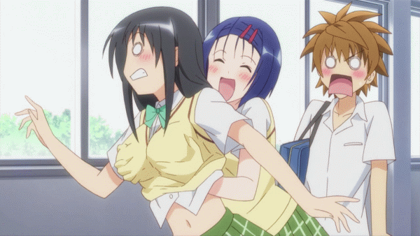 16.gif