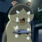 未命名.gif