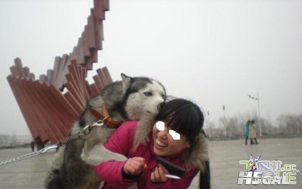 20120616125532951.jpg