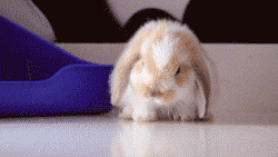 6b15654264001a55d08d51c5db105506.gif