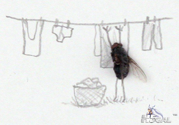 x_large_9pCr_4475000003461263.jpg