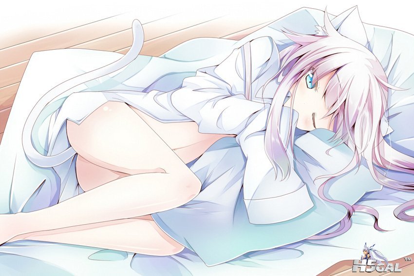 011700a1x6ak2n6baq1aeq.jpg