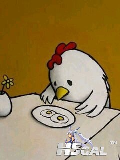 qr3o4tp10jybij2.jpg