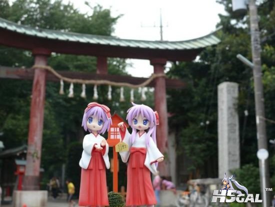 1208311847b78917d82385cb20.jpg