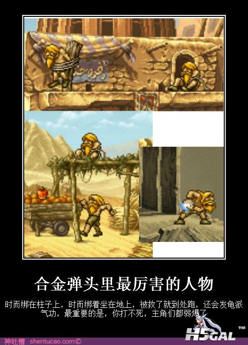 120312234640003126.jpg