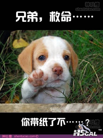 120313154842897995.jpg