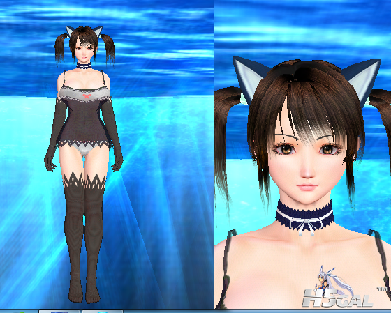 dw1.PNG