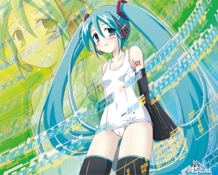 Miku (18).jpg