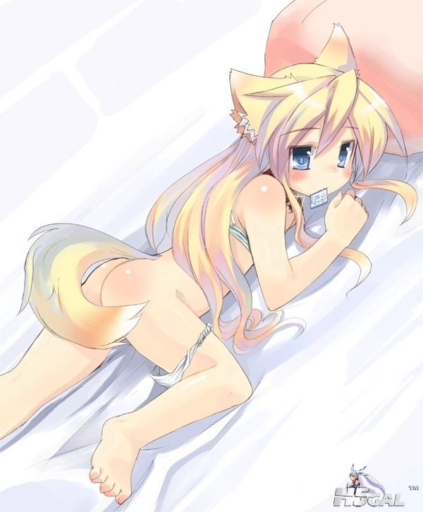 n8x4sb2atnq1xvi.jpg