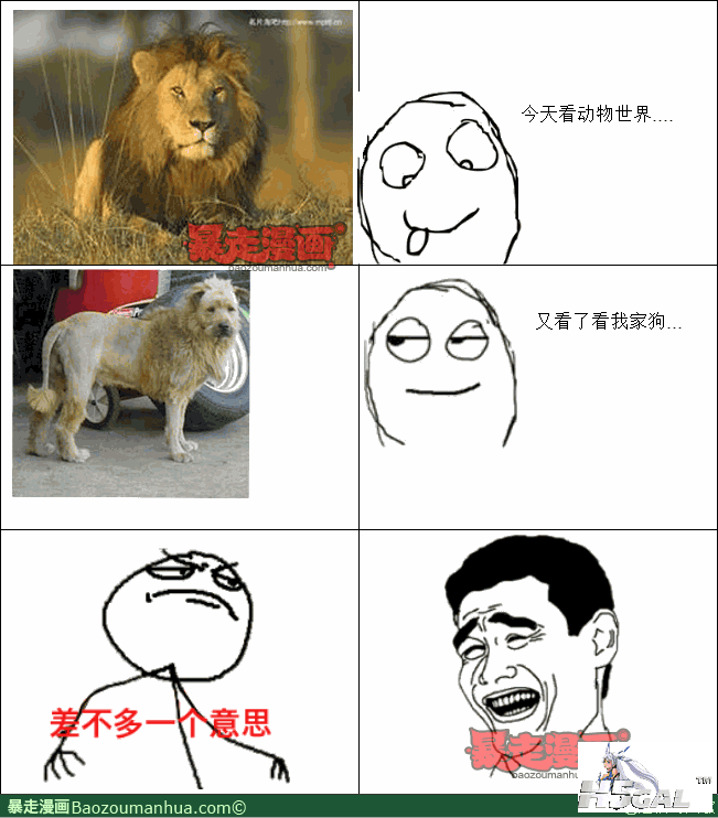 1c8c06f8648544319825f1f5771f10c15.png