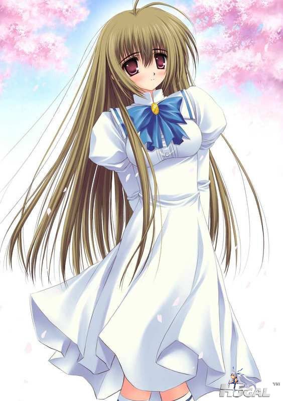 b51c7e348df97bdaa8018e2e[1].jpg