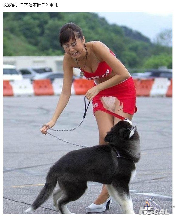 色狗啊