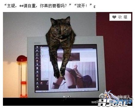 呵呵