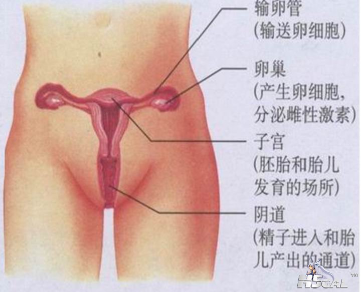 无标题.jpg