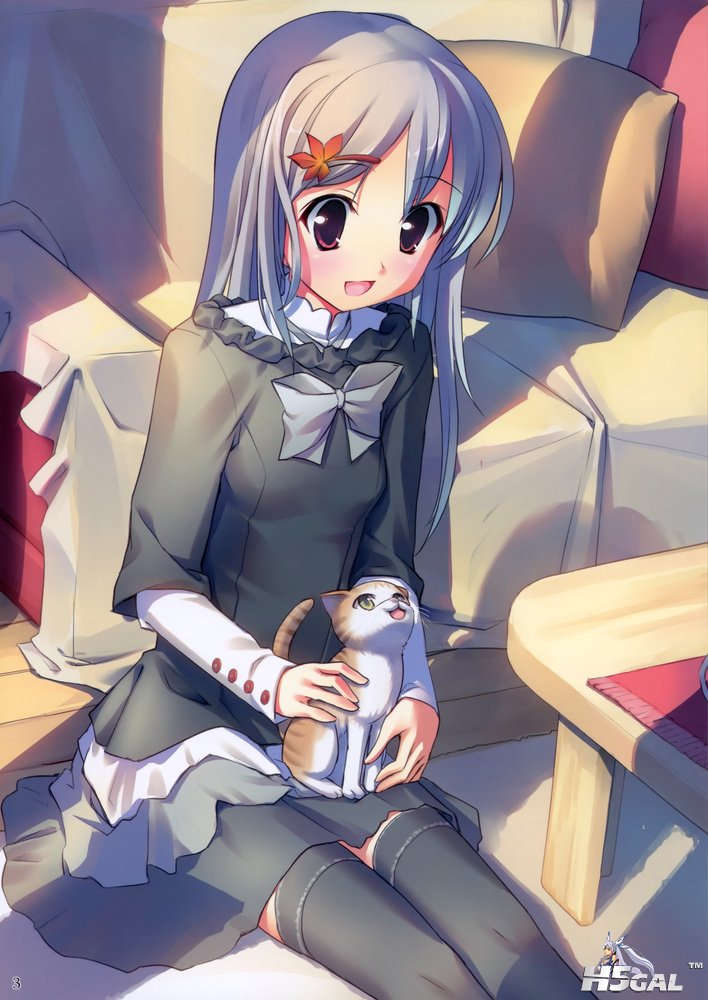 3.jpg