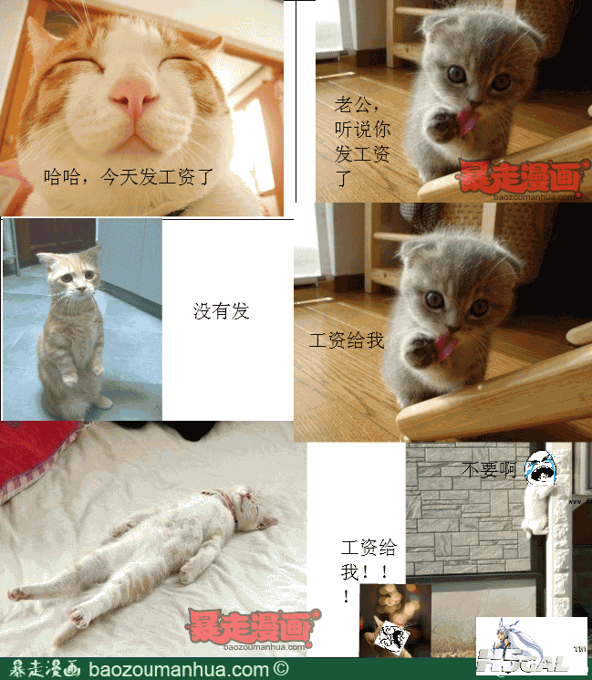 15a4dfdc1b56542dca48efc7b70e244e3.png