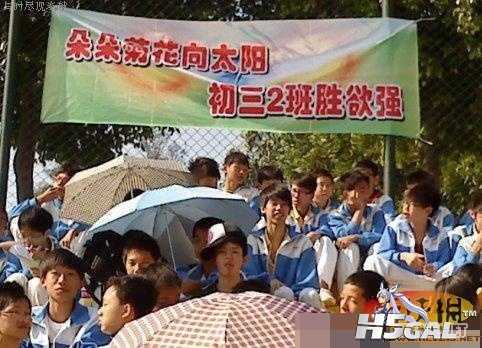 菊花向太阳 哥表示鸭梨很大.jpg