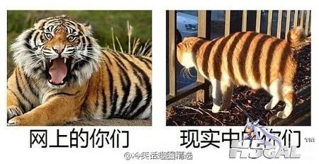 114453wl55114z5jjgse9n.jpg