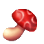 蘑菇爆红.gif