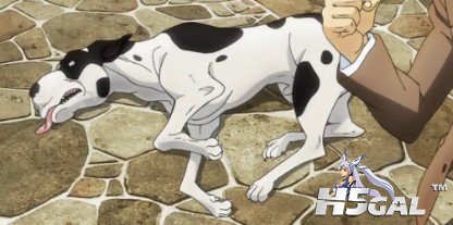 JOJO.jpg