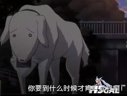 法外.jpg