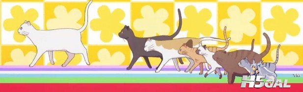 樱花庄猫.jpg