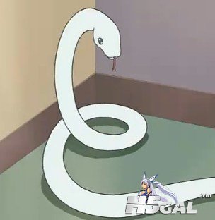 元气蛇.jpg
