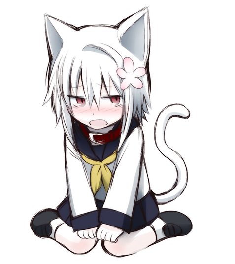 2.png