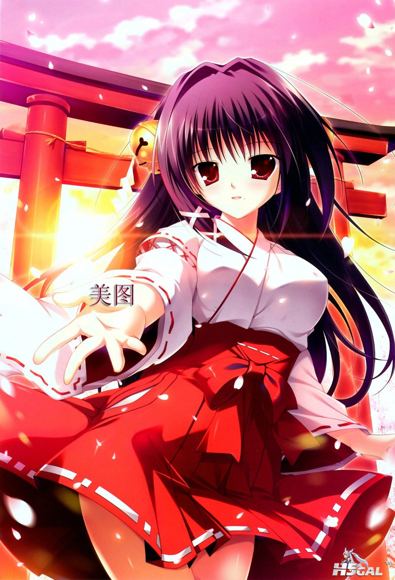 收藏 (191)  阿迪王.jpg