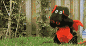 1.gif