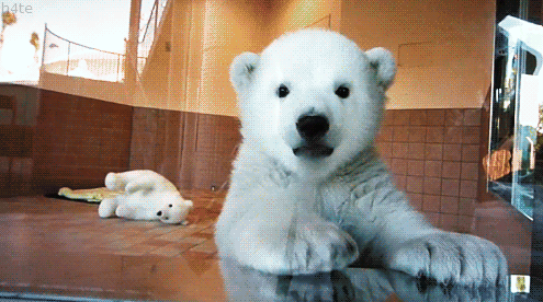 3.gif