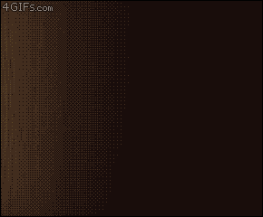 4.gif