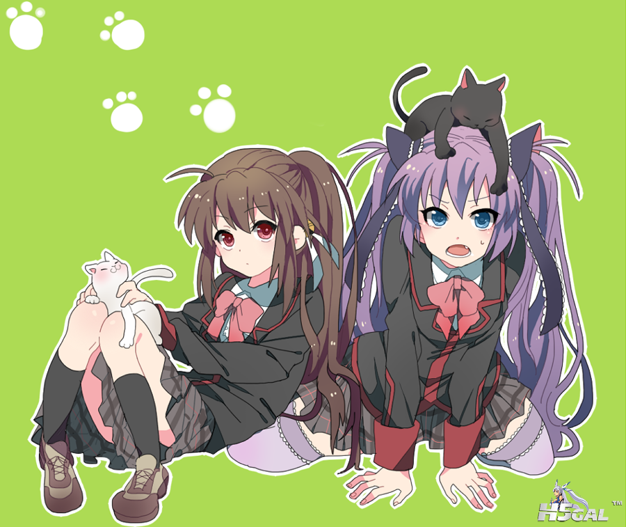 2012-11-07-539809.png