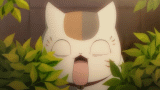 1-1003230ZQ0.gif