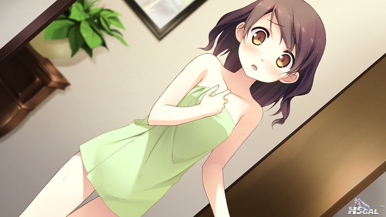 kahansinsokuhou_fueqrnos.jpg