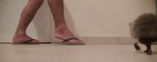 3.gif