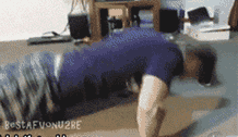 1.gif