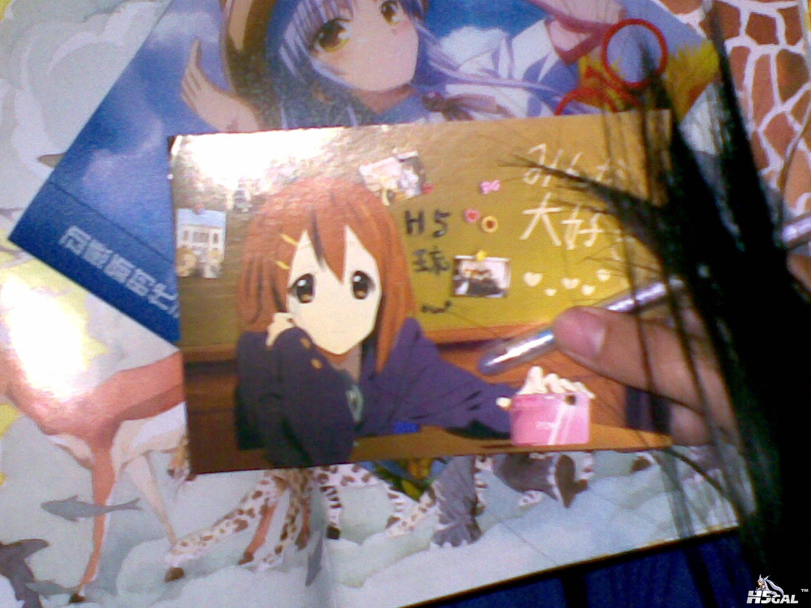 20121117_013.jpg