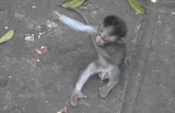 3.gif