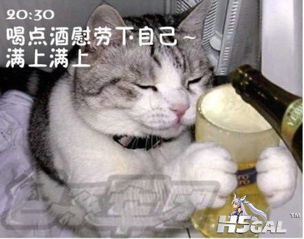 20.jpg
