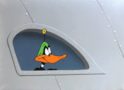 5.gif