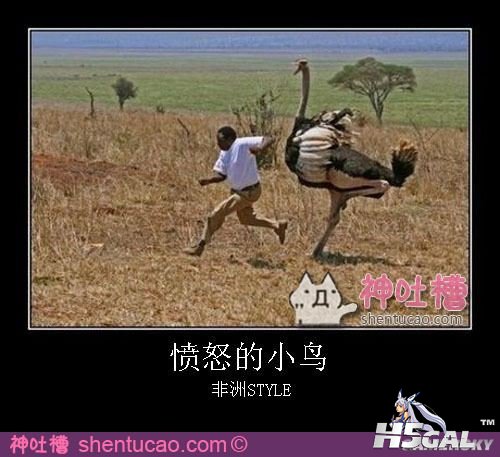 gamersky_043small_086_201211301117162.jpg