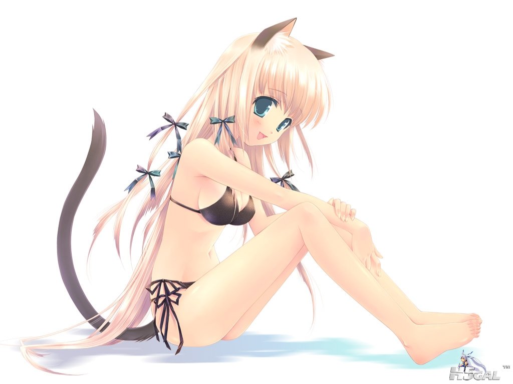 Konachan_com - 9897 animal_ears barefoot bikini catgirl long_hair original swims.jpg
