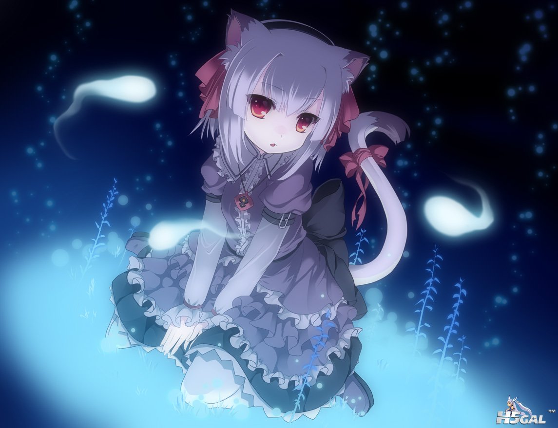 Konachan_com - 82619 animal_ears catgirl goth-loli loli lolita_fashion original .jpg