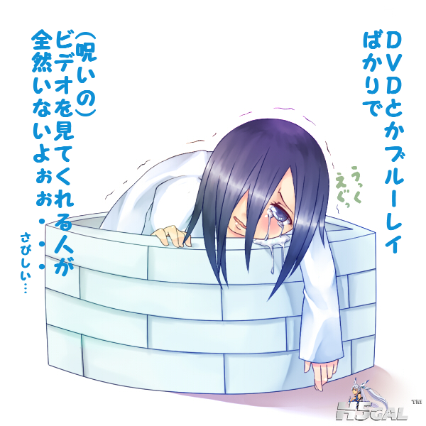 5588257[1].png