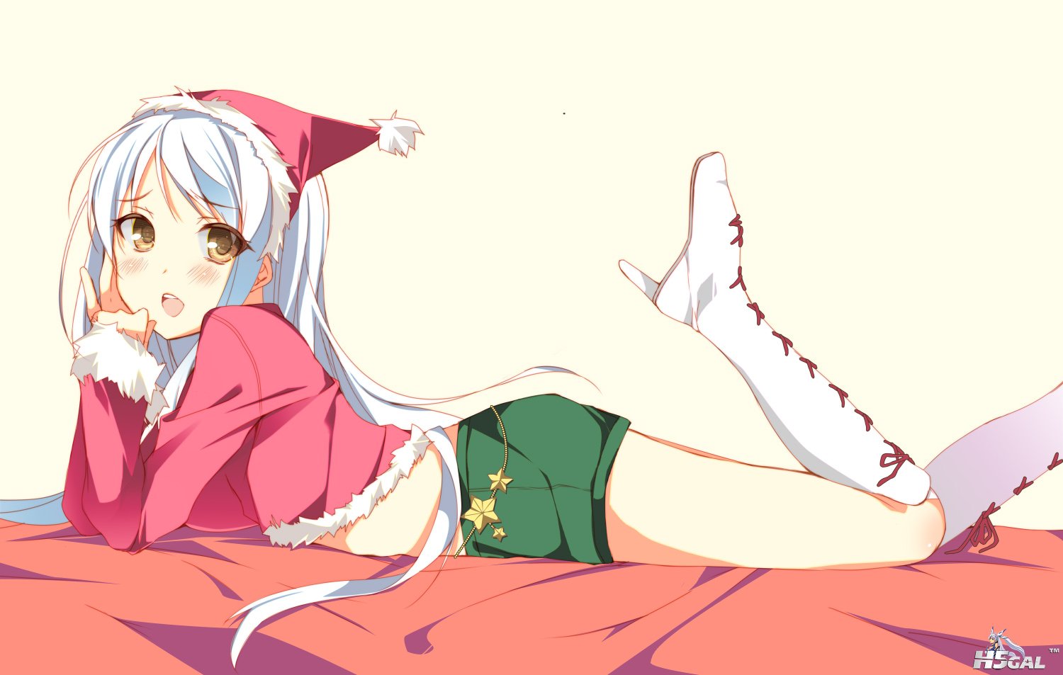 Konachan_com - 150512 blush brown_eyes christmas white_hair.jpg