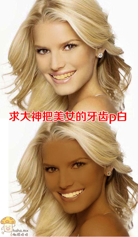 685921_4361aedbad5ffdc9c523c03791f52848_1356159185.jpg