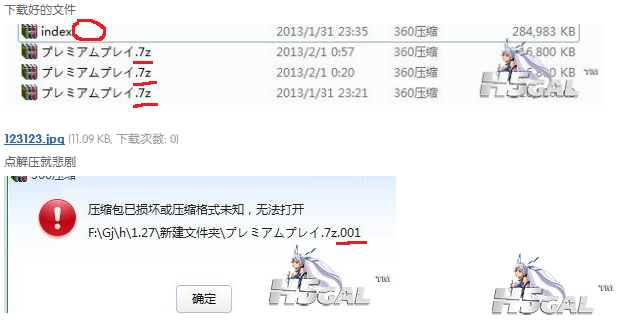 2013-02-02_035642.png